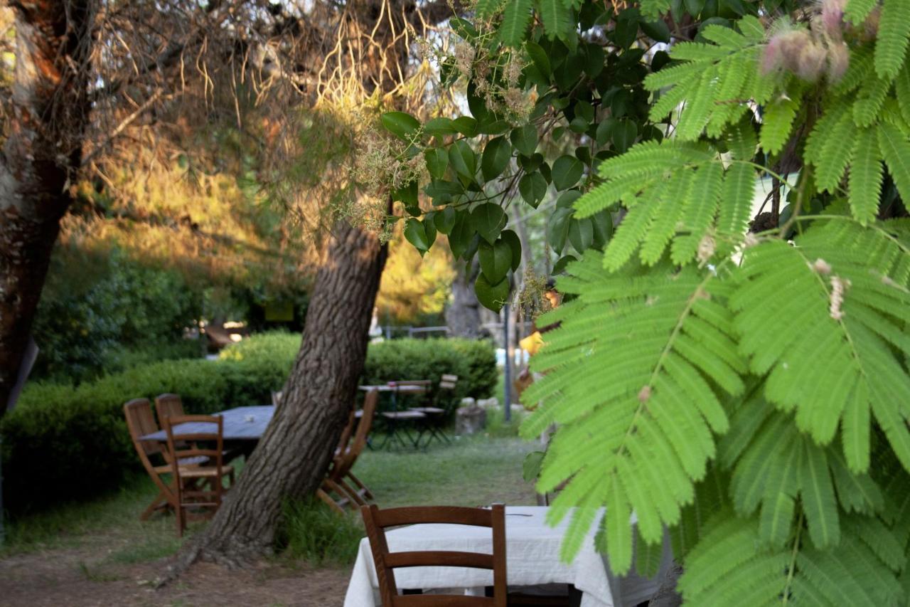 Agriturismo Terra Di Pace Ното Екстериор снимка