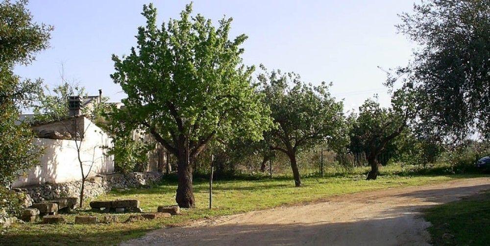 Agriturismo Terra Di Pace Ното Екстериор снимка